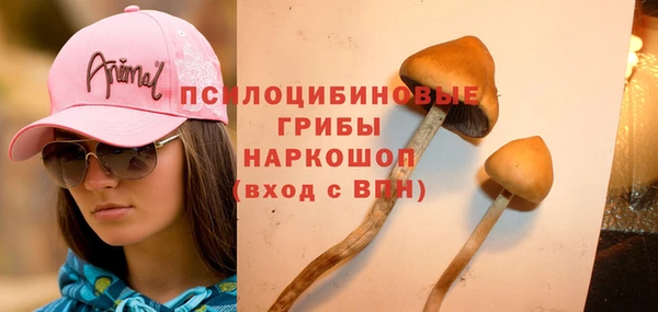 хмурый Алзамай