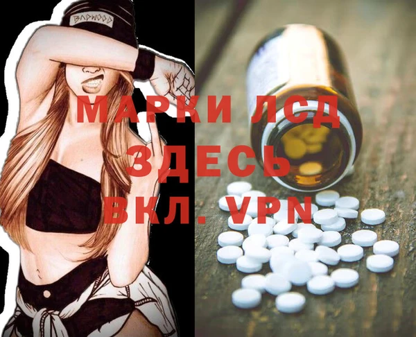 хмурый Алзамай