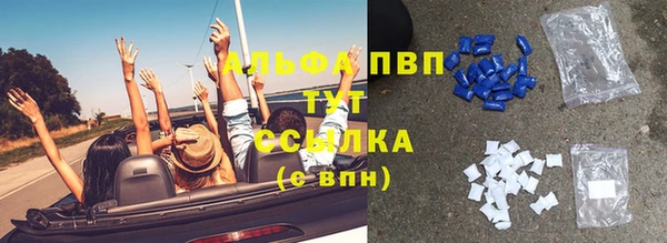 хмурый Алзамай