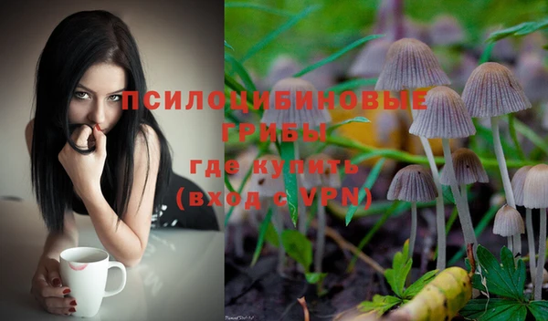 прущие грибы Алексин