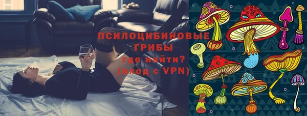 прущие грибы Алексин